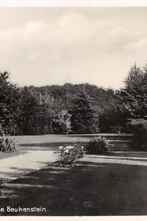 Lochem Tuin achter Huize Beukenstein 1938 HC46705 Najlepsza cena