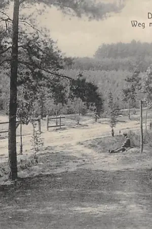 Popularny De Steeg Weg naar 't Asselt Veluwe Rheden HC46703