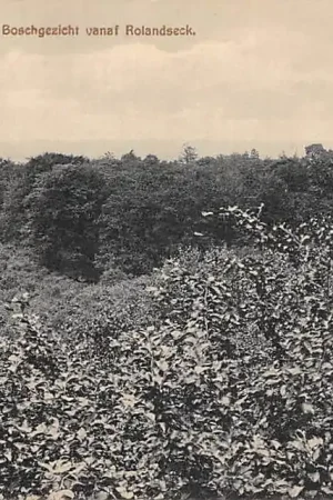 Ekspresowa dostawa Heelsum Boschgezicht vanaf Rolandseck Renkum HC46921