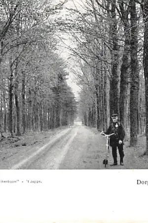 Oryginalny Gorssel Dorpslaan bij 't Joppe Lochem Veluwe 1900 HC46915