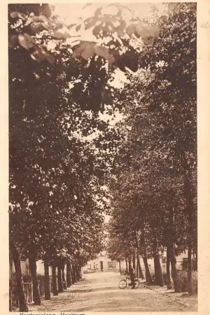 Popularny Heelsum Kastanjelaan Renkum Veluwe 1945 HC46633