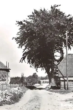 Wyprzedaż Buurtschap Paleis bij Garderen Veluwe HC46621