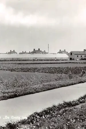 Kerkdriel Tuinderscomplex De Grote Ing Maasdriel Maas HC46448 Bezpieczna płatność