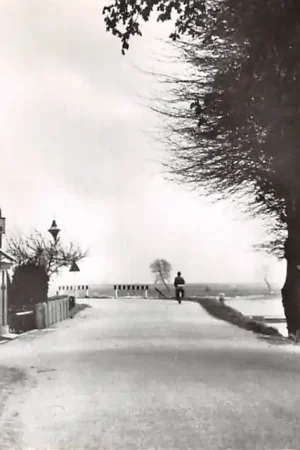 Opijnen Dijkzicht Waal West Betuwe Tielerwaard 1965 HC46395 Wysoka jakość