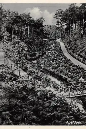 Popularny Apeldoorn Houten' Bruggetje in Berg en Bosch 1941 HC45731