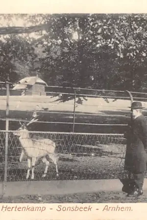 Arnhem Hertenkamp Sonsbeek HC45527 Bezpieczna płatność