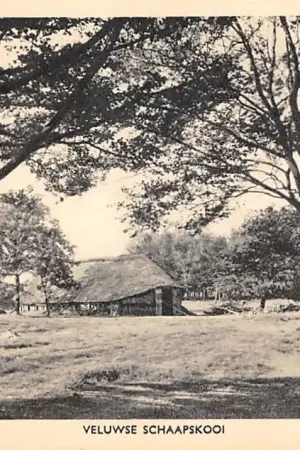 Promocja Lunteren Veluwe Schaapskooi 1923 HC45013