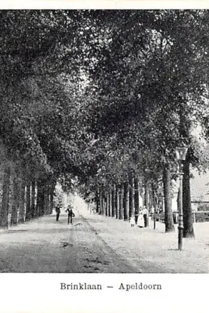Apeldoorn Brinklaan 1900 HC44887 Oryginalny