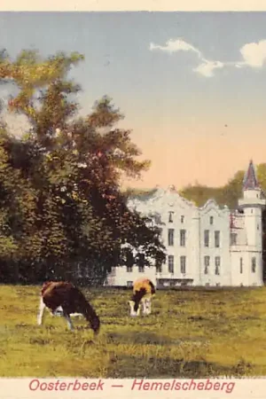 Szybka dostawa Oosterbeek bij Arnhem Hemelscheberg met grazende koeien 1929 HC44660