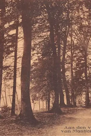 Bezpieczna płatność Montferland Aan den voet van Montferland 1923 Didam HC44633