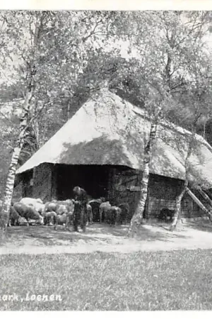 Rabat Loenen (GD) Schaapskooi Loenermark 1957 Veluwe HC44429