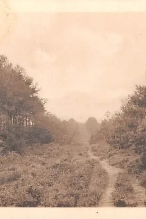 Tani Lunteren Bosch en Heide 1930 Veluwe HC44619