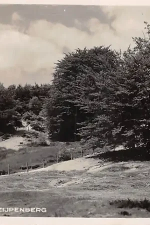 Worth Rheden Zijpenberg 1938 Veluwe HC44587 Rabat