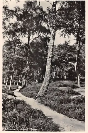 Otterlo Fietspad Mossel 1950 Veluwe HC44569 Zwrot pieniędzy