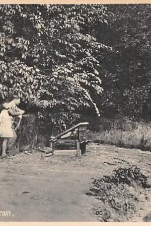 Ellecom Avegoor Landgoed Vacantieoord van den Ned. Bond van Personeel in Overheidsdienst Rheden Veluwe HC43729 Zamów teraz