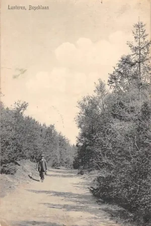 Wyprzedaż Lunteren Boschlaan 1914 Veluwe HC43725