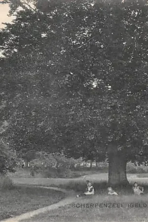 Scherpenzeel (Geld.) Bij de bruine beuk 1919 Gelderse Vallei HC44005 Wysoka jakość