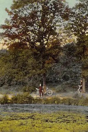 Berg en Dal Hexentanz 1908 Nijmegen HC43456 Wysoka jakość