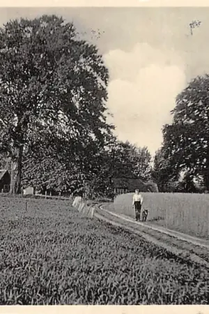 Zwrot pieniędzy Ede De Kreel 1939 Veluwe HC42591