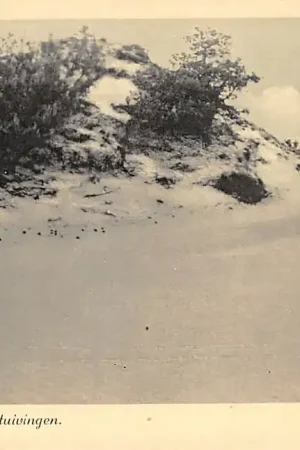 Tylko dziś Nunspeet Zandverstuivingen 1938 Veluwe HC42483