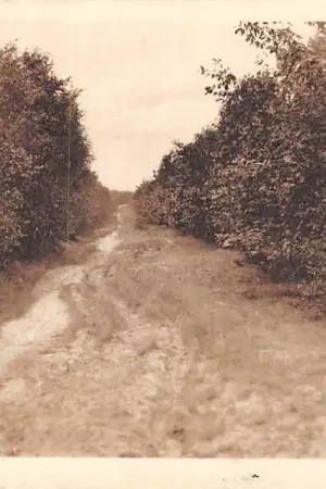 Premium Lunteren Langs de Wildwal 1927 Veluwe HC42343