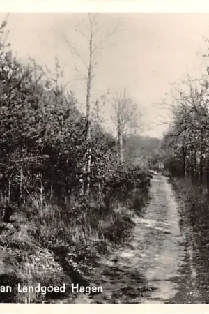 Tylko dziś Doetinchem Boschlaan Landgoed Hagen 1959 HC40753