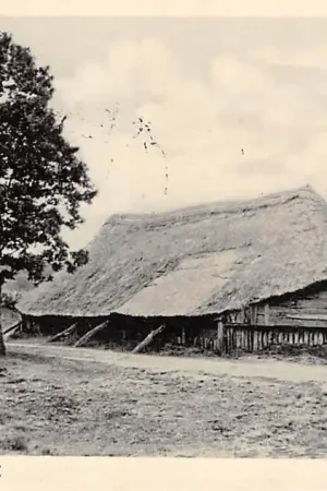 Premium Op de Veluwe Schaapskooi 1941 HC40728