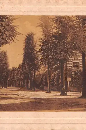 Arnhem Boulevard Heuvelink 1926 HC40790 Oferta limitowana