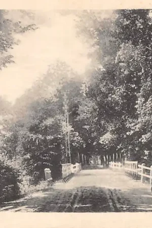 Borculo Hoflaan HC38611 Tani