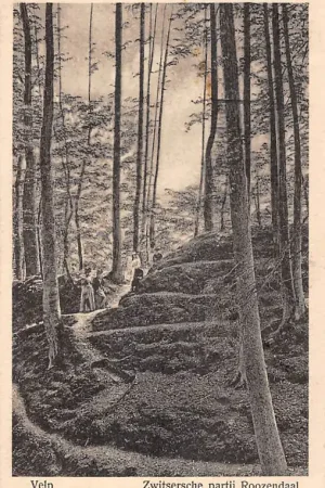 Velp Rozendaal Zwitsersche partij Roozendaal HC39444 Darmowa dostawa