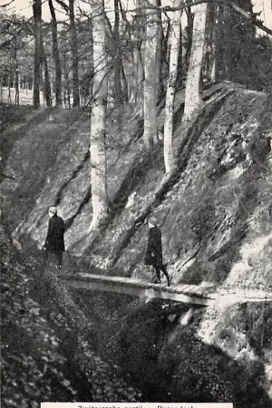 Rozendaal Zwitsersche partij 1909 Velp HC39433 Rabat