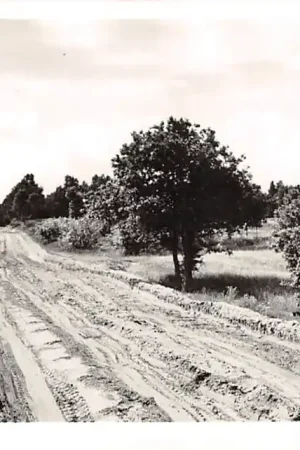 Lunteren Goudsberg 1955 Veluwe HC38446 Tylko dziś