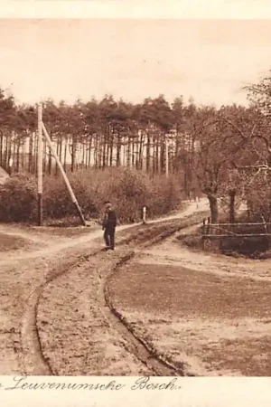 Premium Elspeet Leuvenum Ingang Leuvenumsche Bosch 1933 Veluwe HC38960