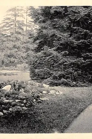 Eerbeek Rotsperk in 't Eerbeeksche bosch 1930 Brummen Veluwe HC36198 Ekspresowa dostawa