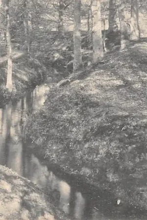 Tylko dziś Wolfheze Oosterbeek de Beek HC36405