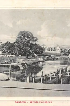 Tylko dziś Arnhem Weide Sonsbeek met koeien HC36015