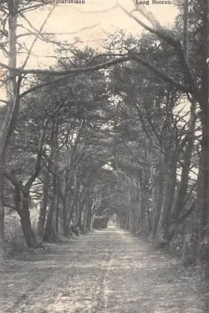 Laag-Soeren Spanjaardslaan 1910 HC35980 Premium