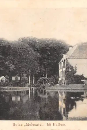 Kup teraz Hattem Huize Molecaten 1920 HC35927