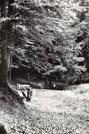 Garderen BOK's Bungalowpark Putterweg 76 't Solse Gat Veluwe HC36112 Oferta