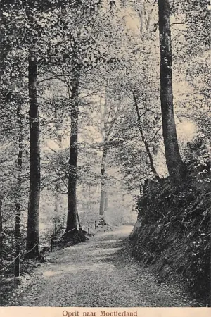 Promocja Zeddam Oprit naar Montferland HC36030