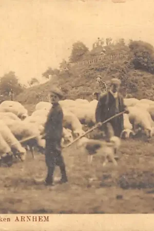 Oryginalny Arnhem Omstreken Kluizenaarsberg met Schaapherders en kudde schapen HC36018