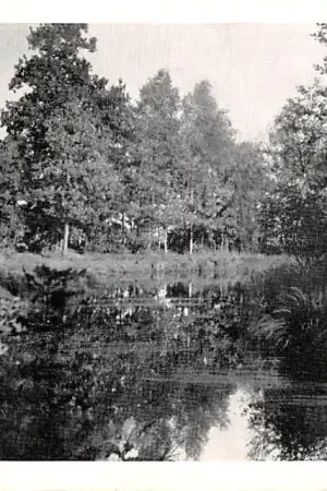 Premium Groesbeek De Vijver 1955 HC34392