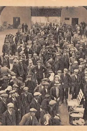 Barneveld Eierenhal Eier veiling en handelaren HC35239 Zamów teraz