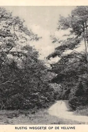 Zamów teraz Veluwe Rustig weggetje HC34762