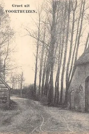 Voorthuizen Groet uit Veluwe HC33753 Popularny