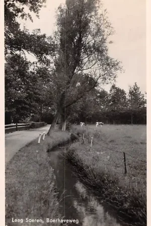 Laag-Soeren Boerhaveweg HC32778 Promocja