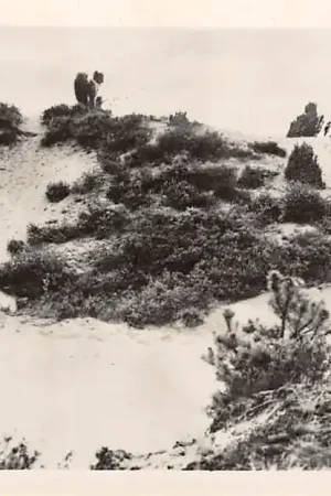 Promocja Nunspeet Op de Heide Veluwe HC32679