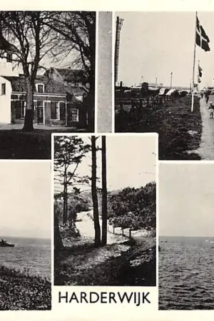 Harderwijk Vijfluik 1956 HC32590 Popularny