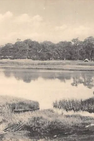 Uddel Het Uddelermeer Apeldoorn Veluwe HC32474 Rabat