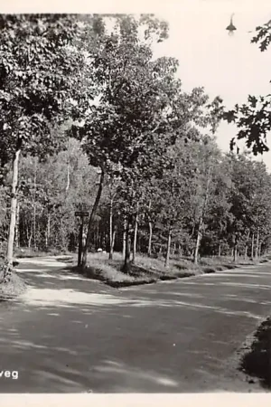 Ermelo Leuvenumscheweg 1951 Veluwe HC32436 Wysoka jakość